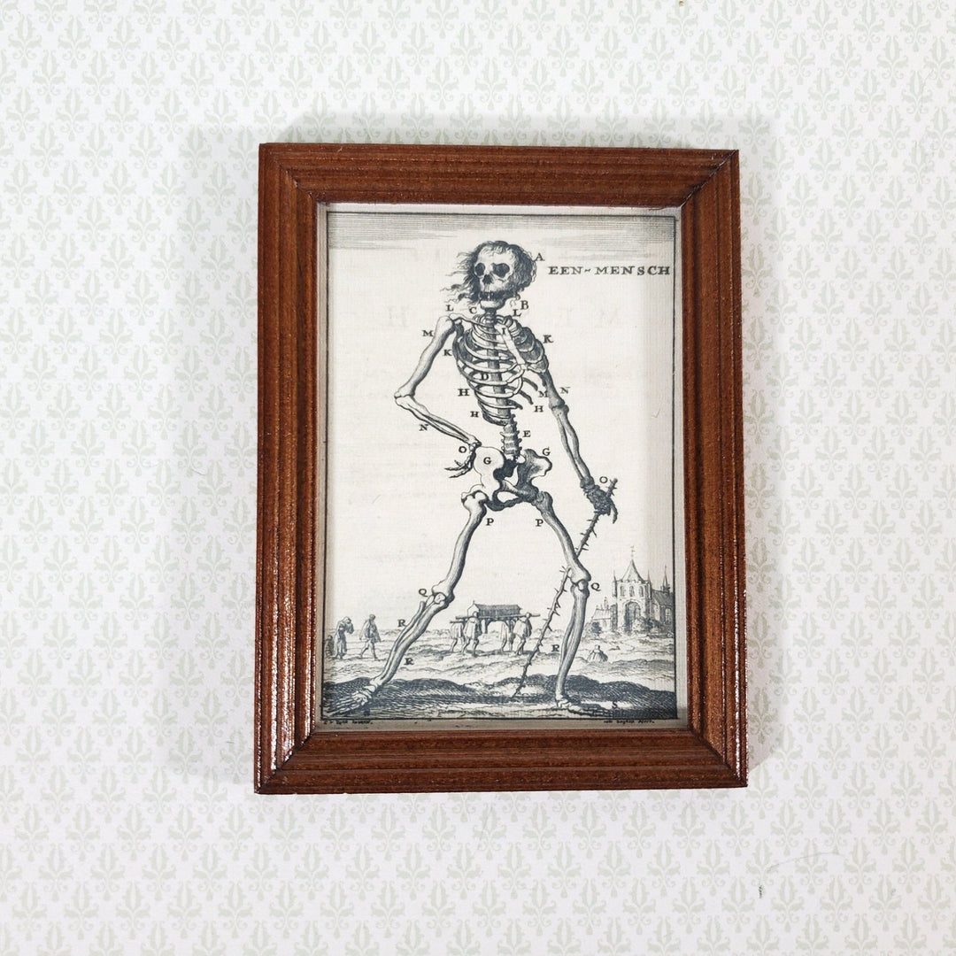 Miniature Skeleton Print Een Mensch 1680 Drawing 1:12 Scale Halloween Haunted House - Miniature Crush