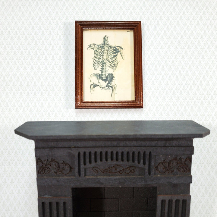 Miniature Skeleton Torso Framed Print 1:12 Scale Halloween Haunted House - Miniature Crush