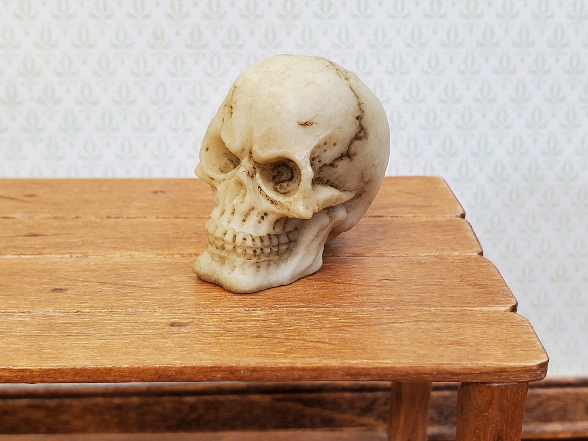 Miniature Skull 1 tall Tiny Human Skull 1:6 Scale Halloween Decoration  Scale Model