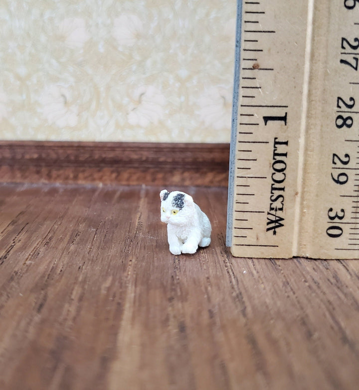 Miniature Tiny Kitten White Persian with Black Sitting 1:24 Scale Animals Cats A4161BW - Miniature Crush