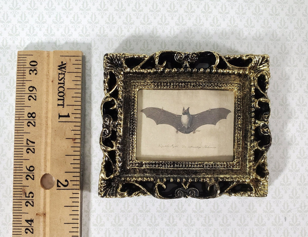 Miniature Vintage Bat Drawing Framed Print 1:12 Scale Halloween Haunted House - Miniature Crush