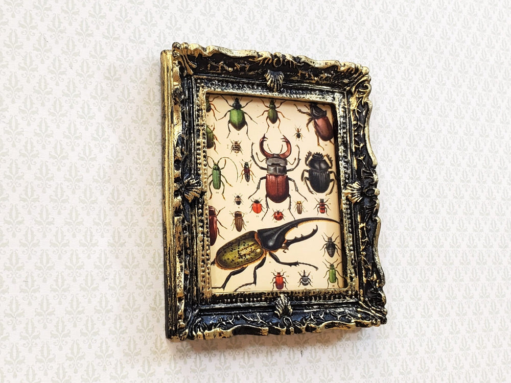 Miniature Vintage Beetle Bugs Framed Print 1895 Framed Dollhouse Decor - Miniature Crush