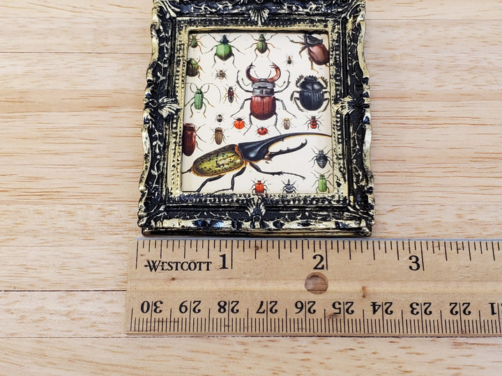 Miniature Vintage Beetle Bugs Framed Print 1895 Framed Dollhouse Decor - Miniature Crush