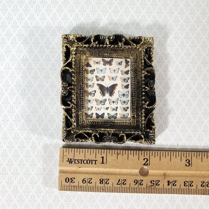 Miniature Vintage Butterfly Drawings Framed Print 1:12 Scale Dollhouse - Miniature Crush