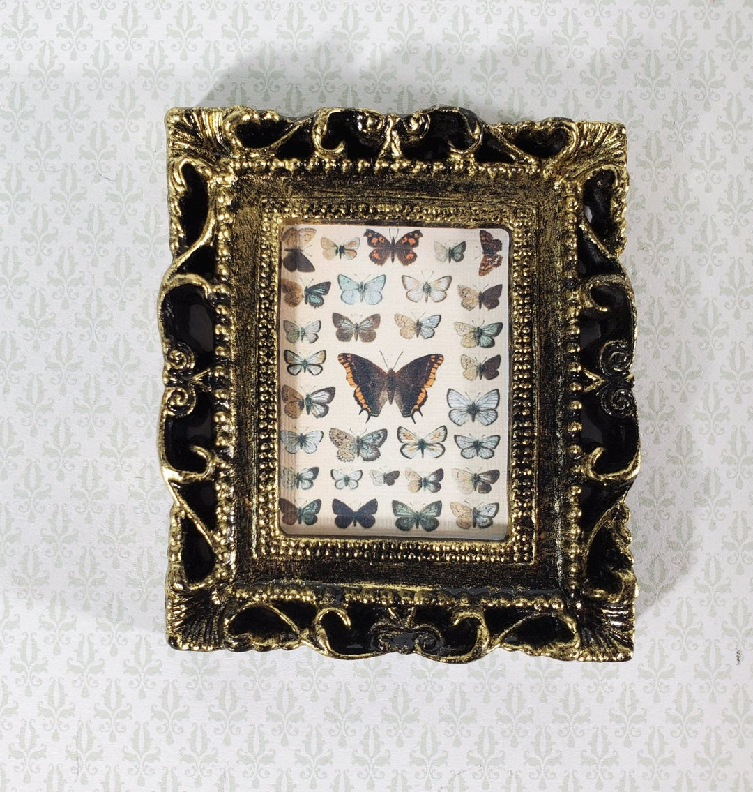 Miniature Vintage Butterfly Drawings Framed Print 1:12 Scale Dollhouse - Miniature Crush