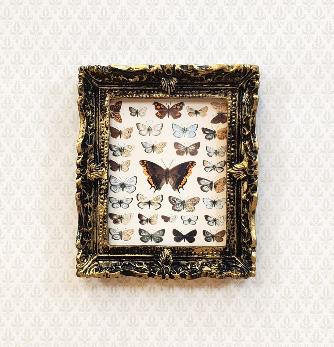 Miniature Vintage Butterfly Framed Print Framed Dollhouse Butterflies - Miniature Crush